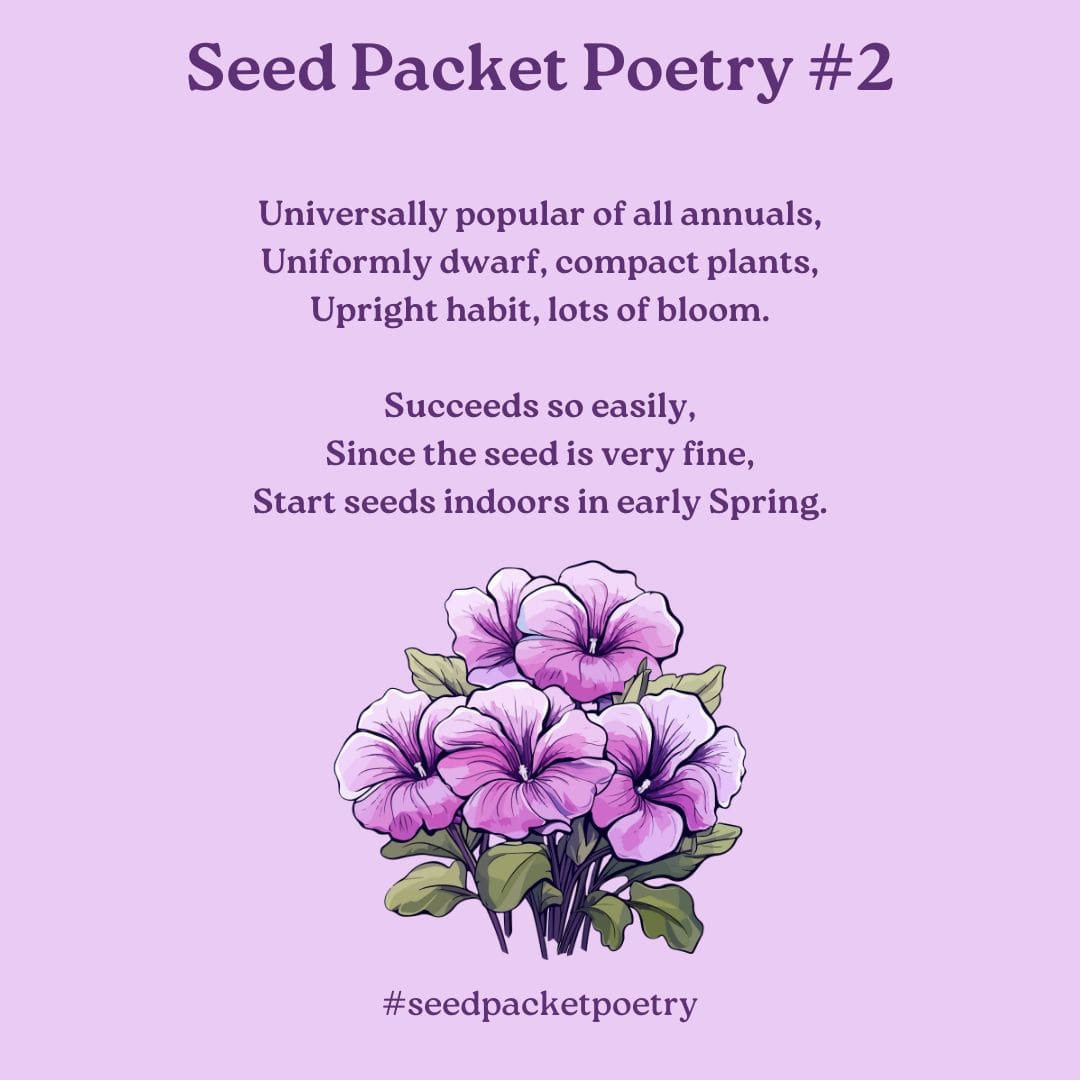 Seed Packet Poetry #2 - Carol J. Michel - Author and Gardener