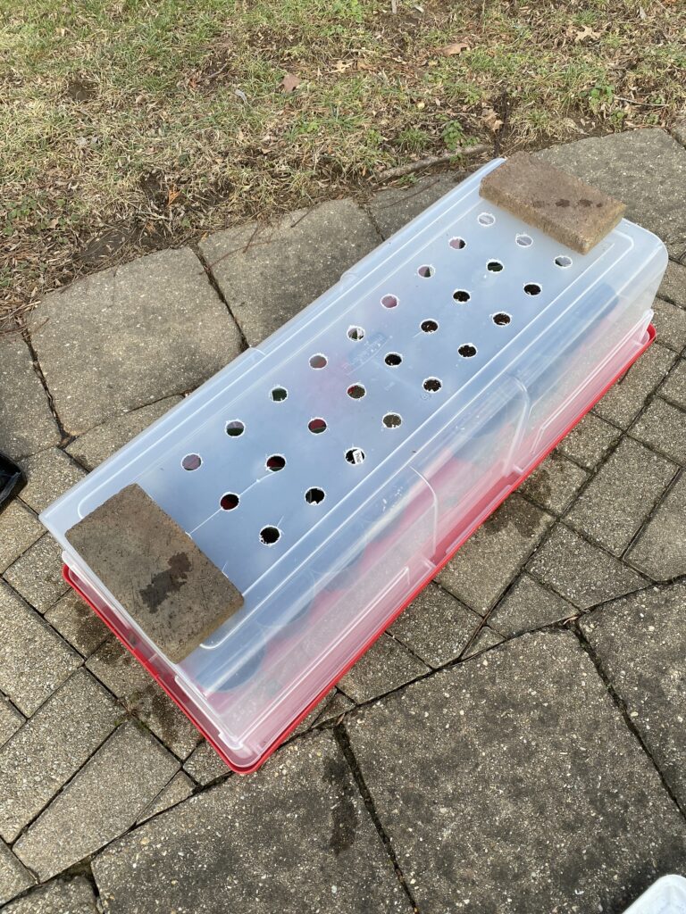 winter sowing in an old storage container
